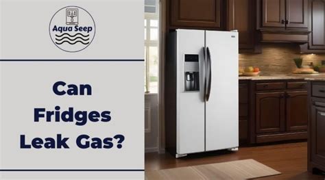 refrigerator leaking gas|Understanding the Consequences of Gas Leaks from Your。